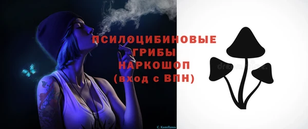 прущий лед Дмитровск