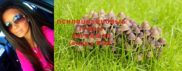 прущий лед Дмитровск