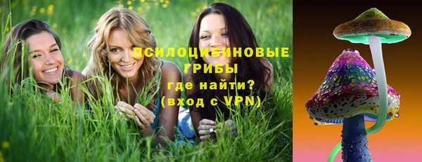 мдпв Дмитров