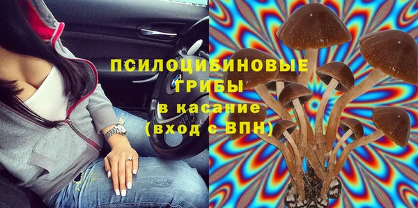 гашиш Дмитриев