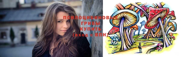мдпв Дмитров
