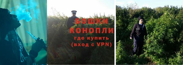 мдпв Дмитров