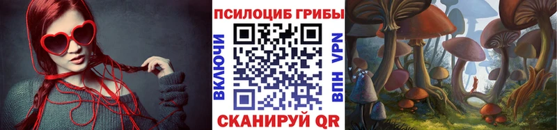 Купить где  Лагань  Псилоцибиновые грибы прущие грибы 